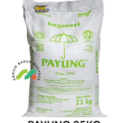 TERIGU PAYUNG 25KG (CARGO)
