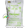 TERIGU PAYUNG 25KG (CARGO)